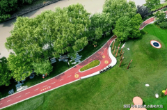 条理交通多沉业态